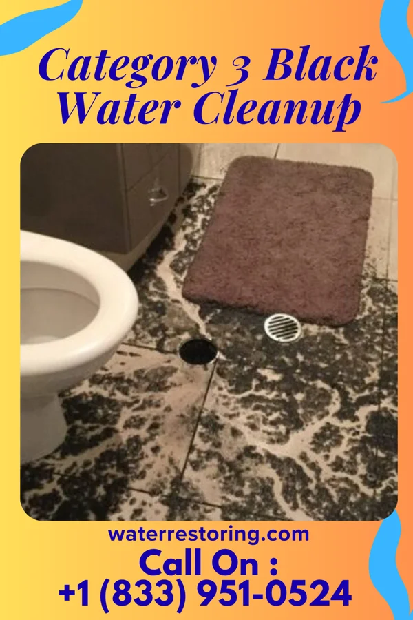Category 3 Black Water Cleanup in Lima, OK