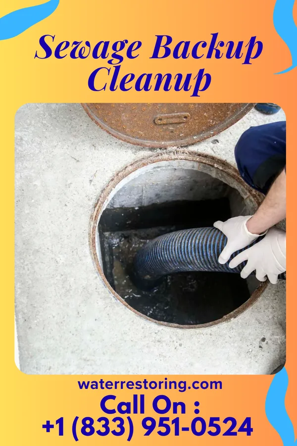 Sewage Backup Cleanup in Lima, OK